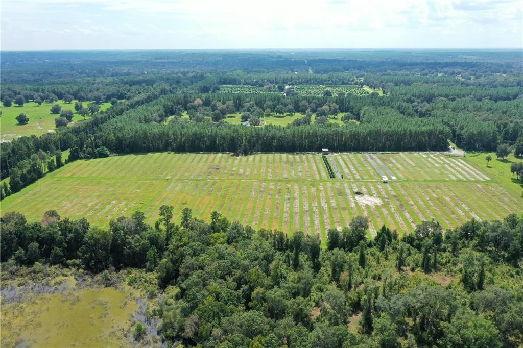 На продажу: $550,000 (20.70 acres)