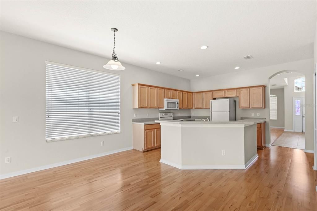 Kitchen/Dining Area/Family Room