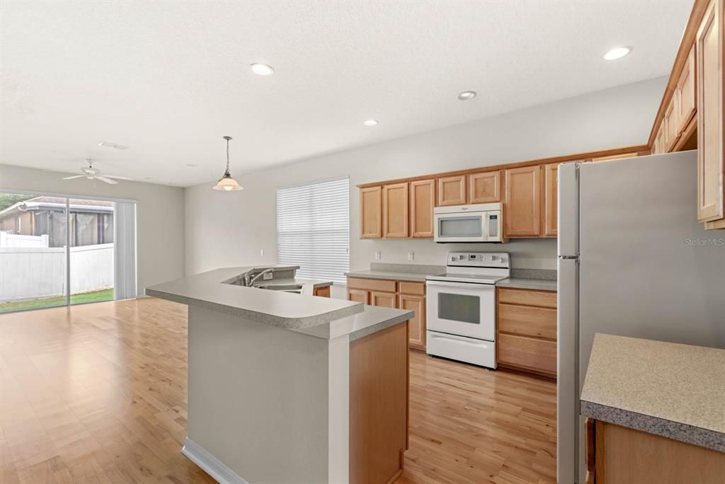 Kitchen/Dining Area/Family Room