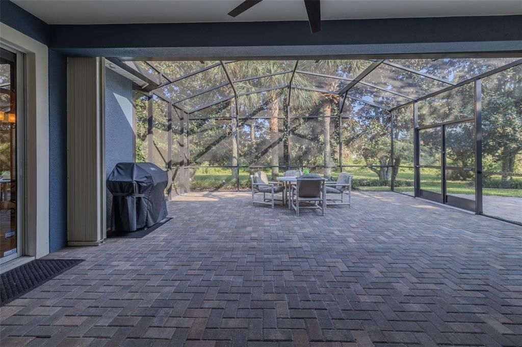 Huge Screened Lanai