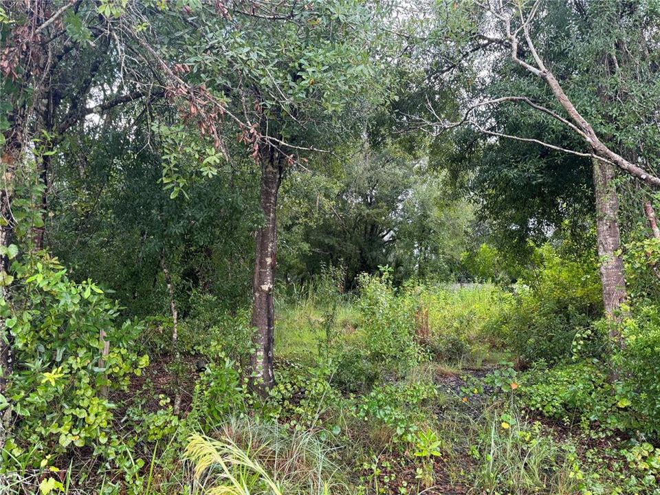 En Venta: $36,900 (0.56 acres)