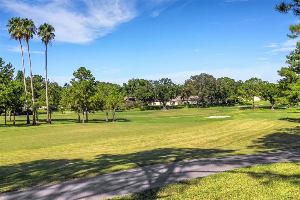 A golfer's dream of a backyard~