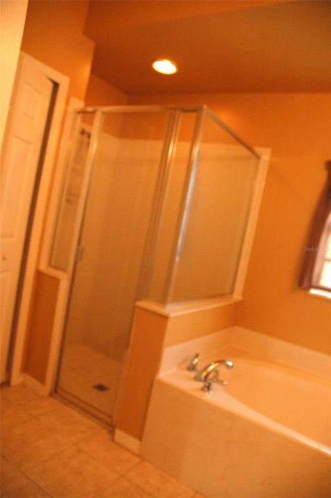 Primary bath is spacious with separate shower, linen closet and private toilet