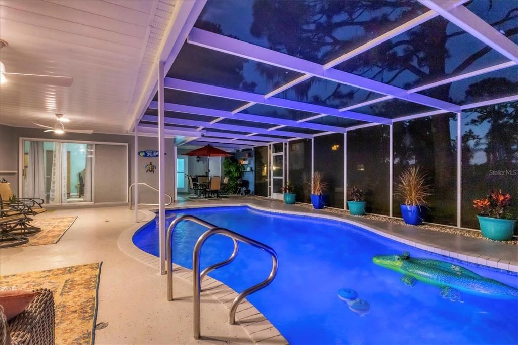 Pool Area (18 different light colors)