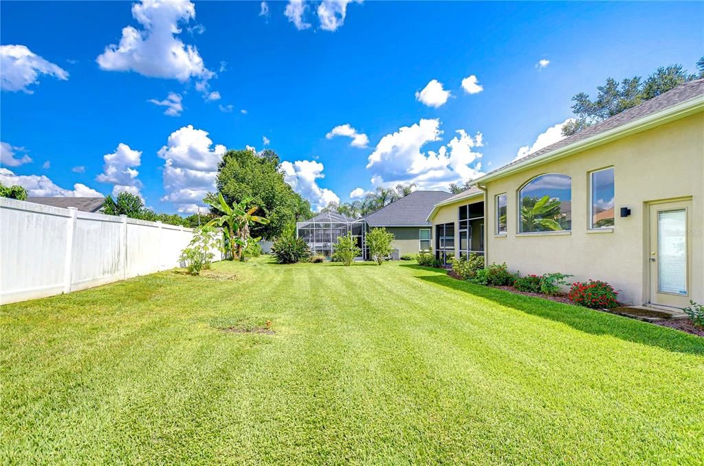 Spacious backyard!