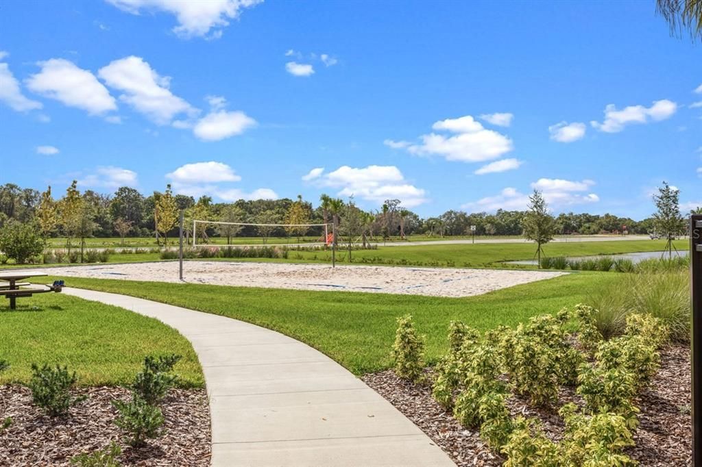 Community Volleyball Court