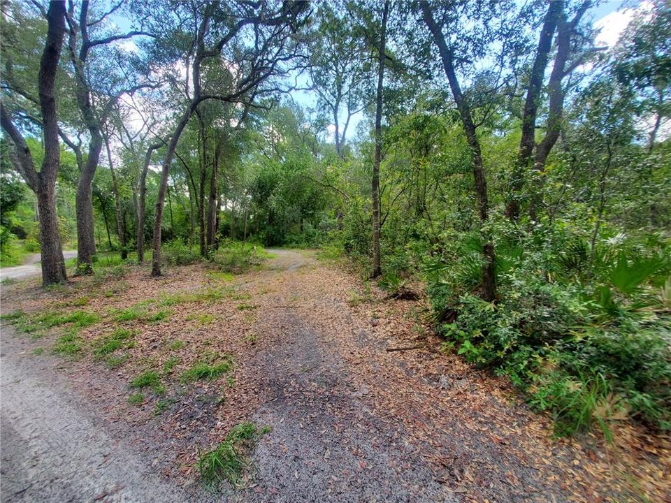 En Venta: $34,000 (0.34 acres)