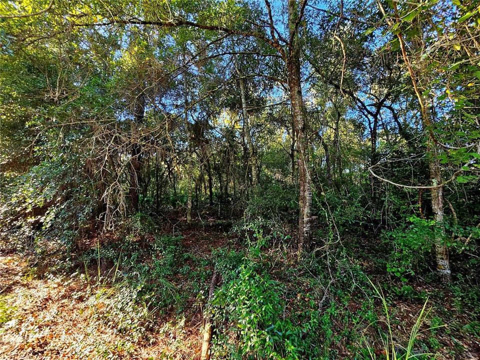 En Venta: $34,000 (0.34 acres)