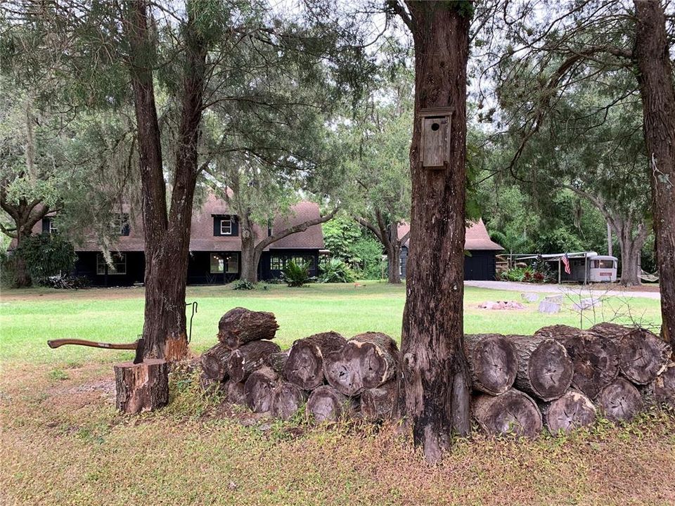 wood pile view of main house