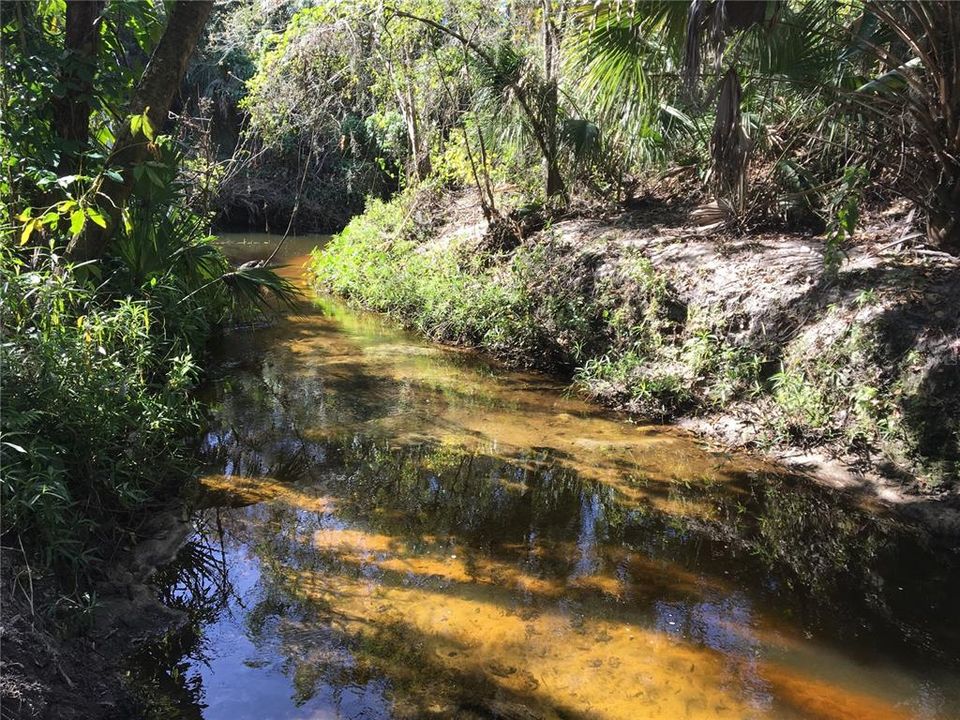 Cabbage Slough where it meets Frog Creek