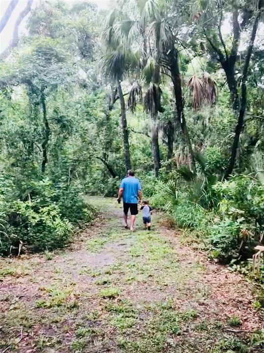 walking trails toward fish camp