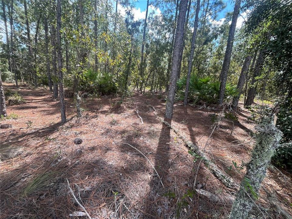 For Sale: $49,900 (1.05 acres)