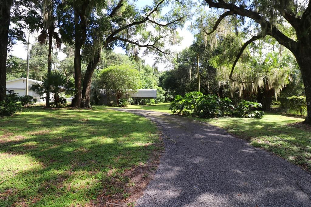 Beautiful Grounds View From Porch