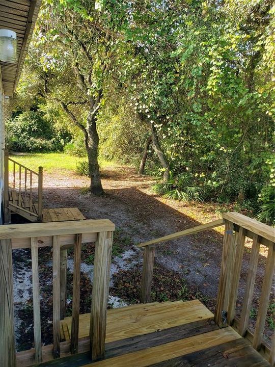 View from back porch with mature foliage.