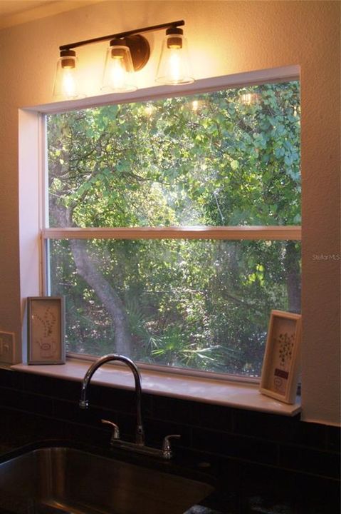 View of Foliage out Kitchen Window