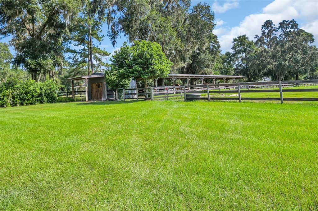 Barn #2 shaded by oaks