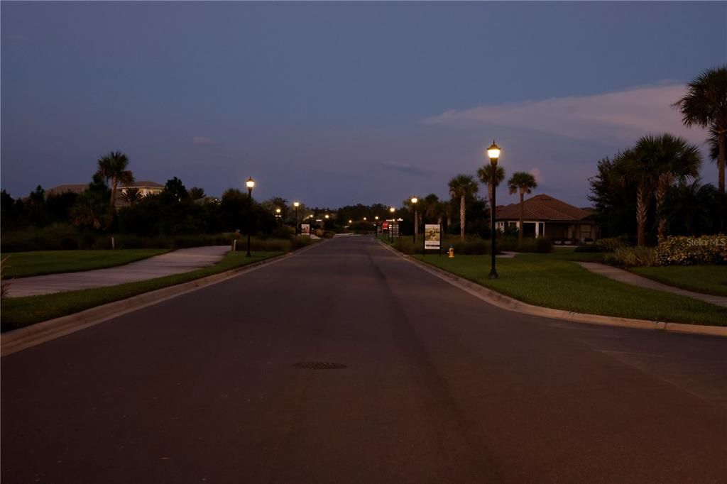 Dusk Street View