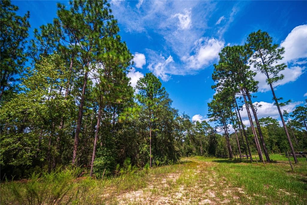 For Sale: $34,888 (1.21 acres)