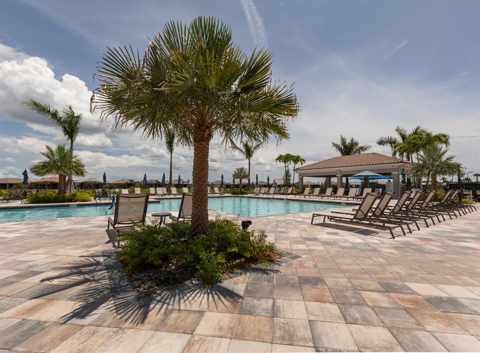 Here this pool is perfect for swimming laps or just lounging