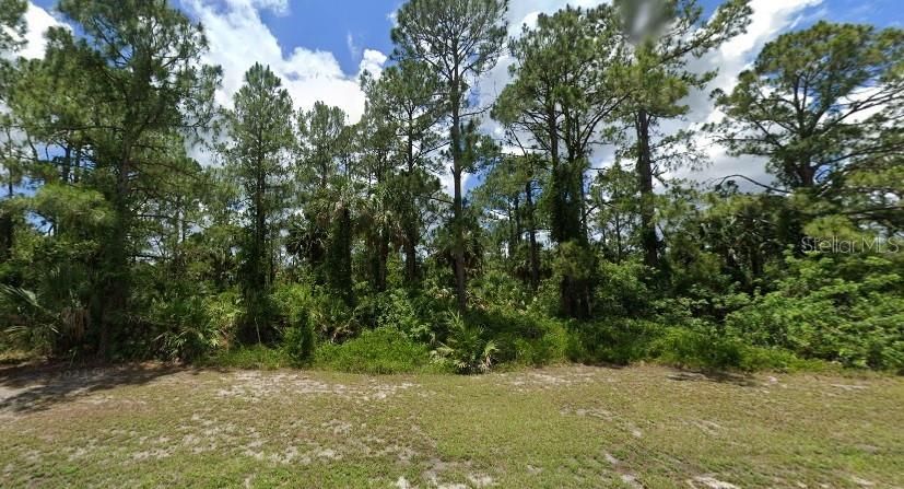 For Sale: $35,000 (0.25 acres)