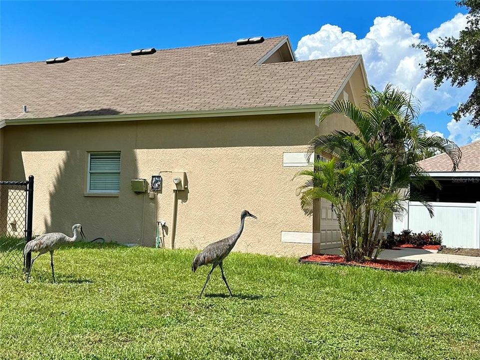 For Sale: $385,900 (4 beds, 2 baths, 2060 Square Feet)