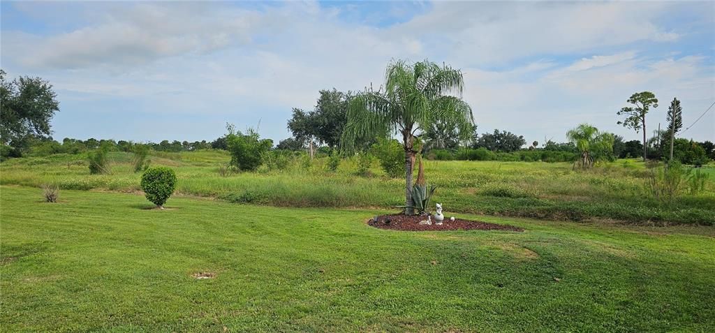 view of backyard