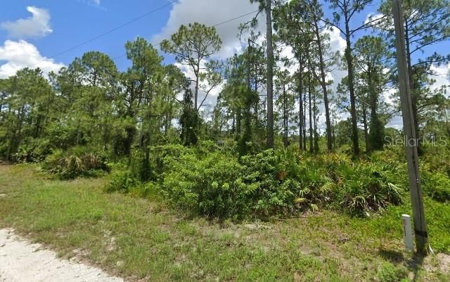 For Sale: $32,000 (0.25 acres)