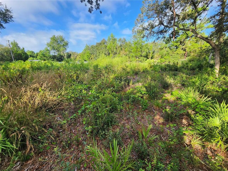 For Sale: $29,000 (0.49 acres)