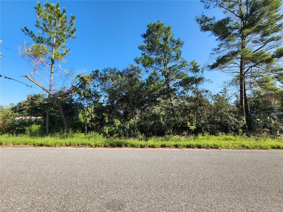 For Sale: $29,000 (0.49 acres)