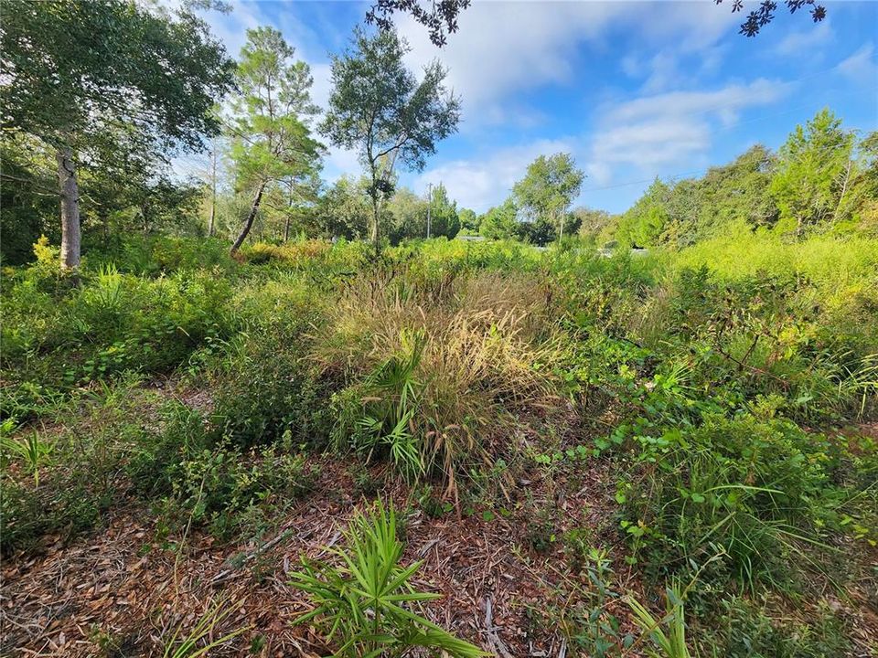 For Sale: $29,000 (0.49 acres)