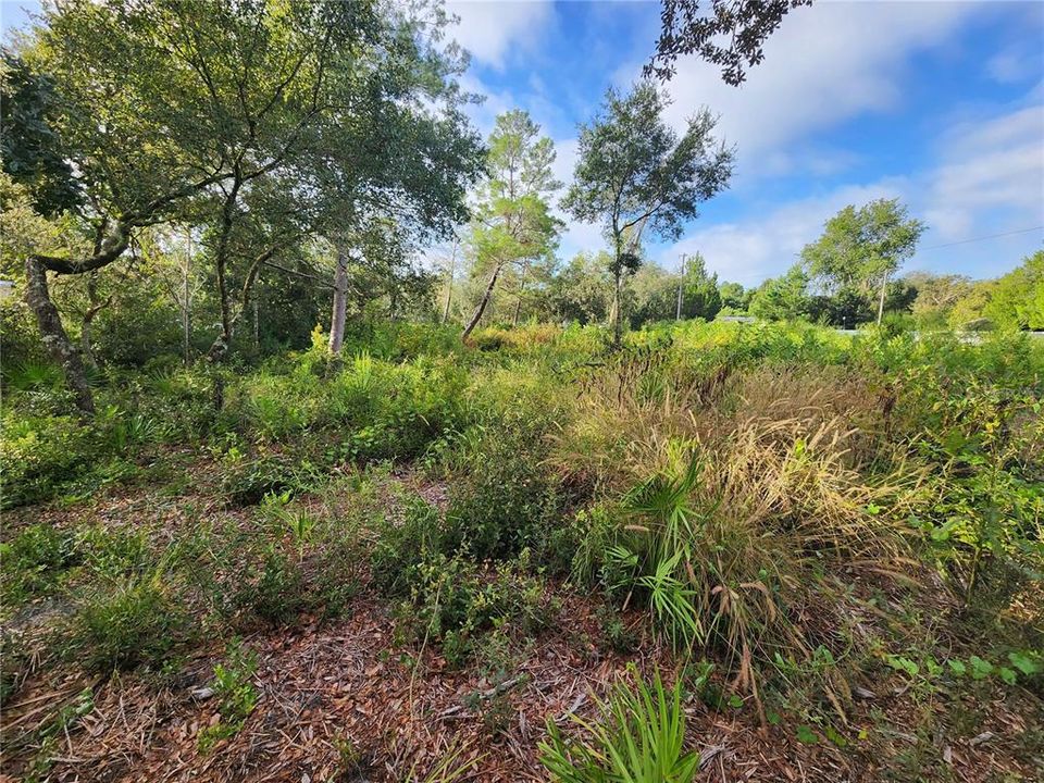 For Sale: $29,000 (0.49 acres)