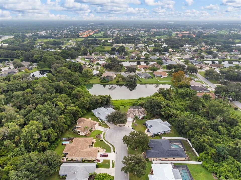 Aerial of the cul-de-sac and surrounding properties.