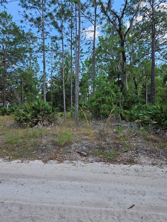 For Sale: $67,800 (2.03 acres)