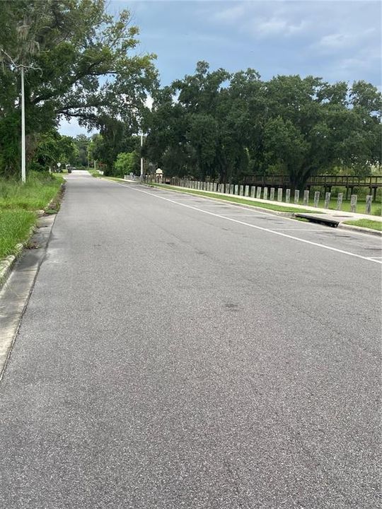 Looking West on East Diana Street