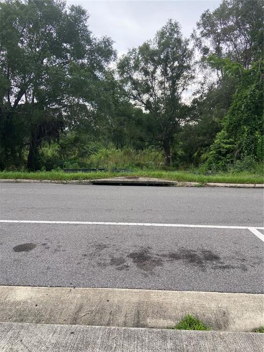 Road drain inlet onto Property along East Diana Street causing water to flow onto property.