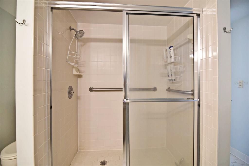 Master Bath Shower