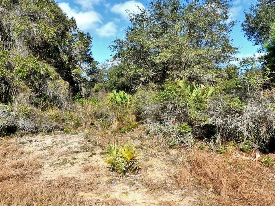 En Venta: $12,000 (0.23 acres)