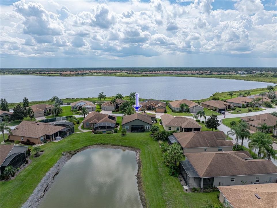 Neighborhood drone view