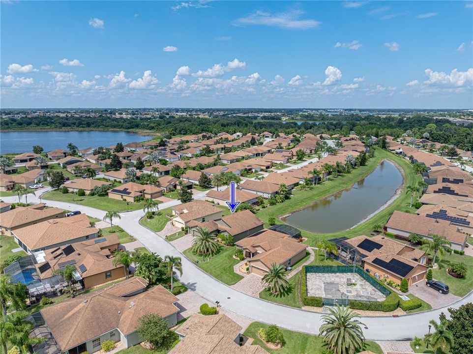 Neighborhood drone view