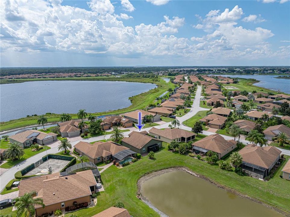 Neighborhood drone view