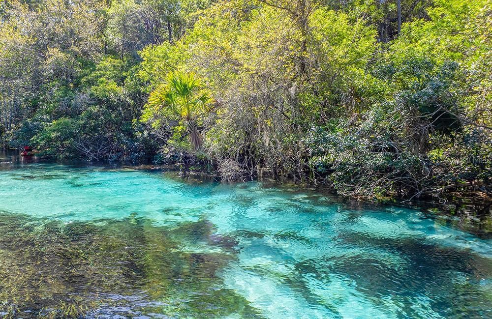 Weeki Wachee Springs State Park