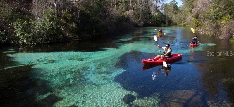 Weeki Wachee Springs State Park