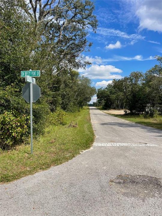 Entrance to the lot's street