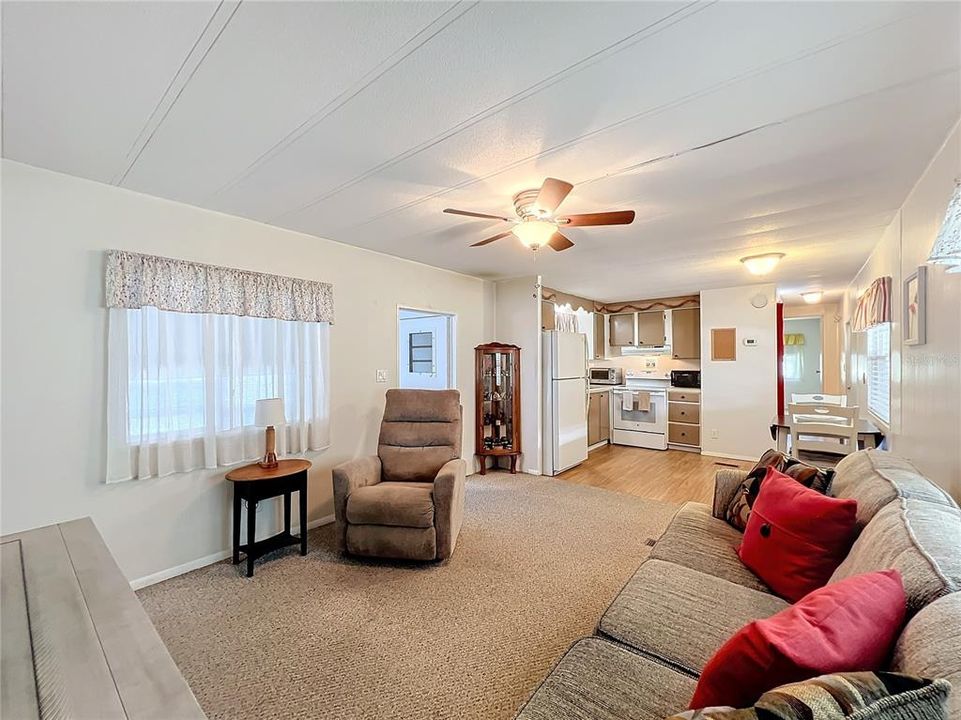 Living room and kitchen