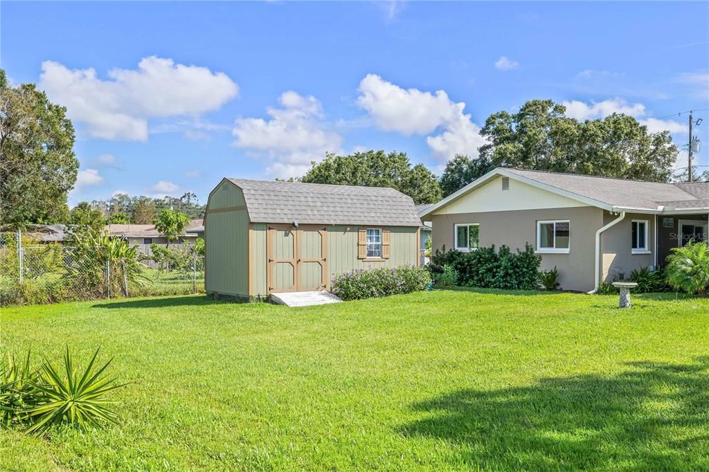 Backyard with Shed