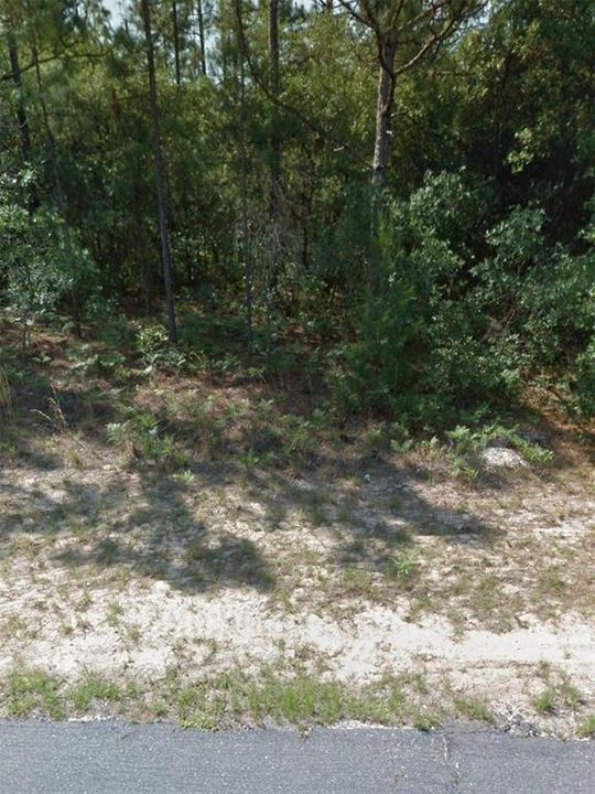 Recently Sold: $21,500 (0.24 acres)