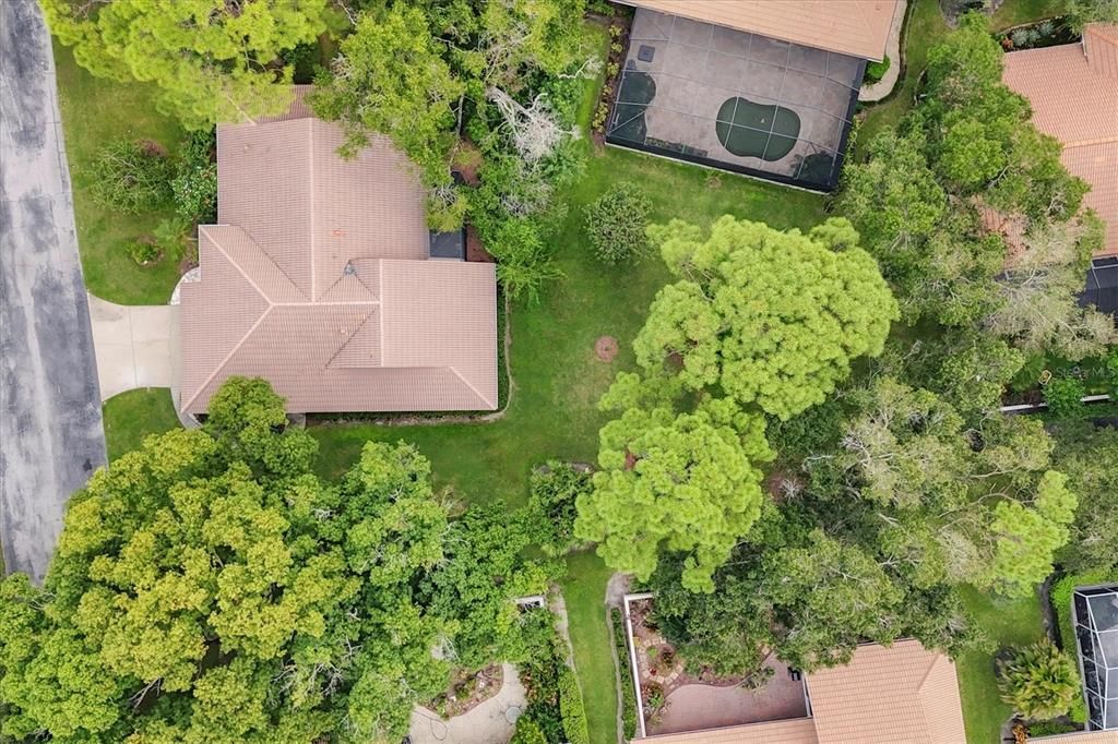 Aerial Roof & Property