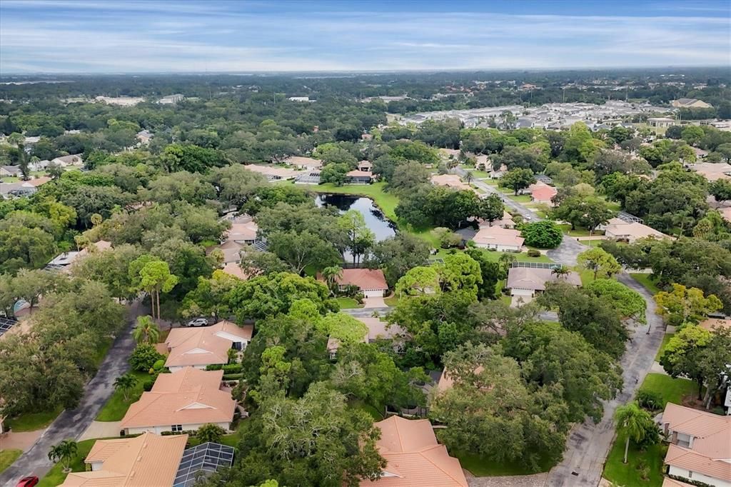 Neighborhood Aerial