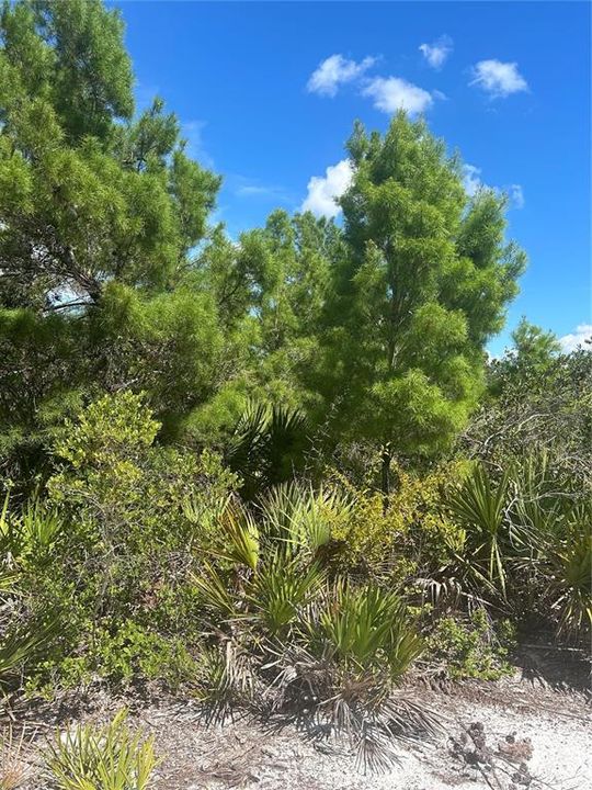 En Venta: $29,900 (1.00 acres)