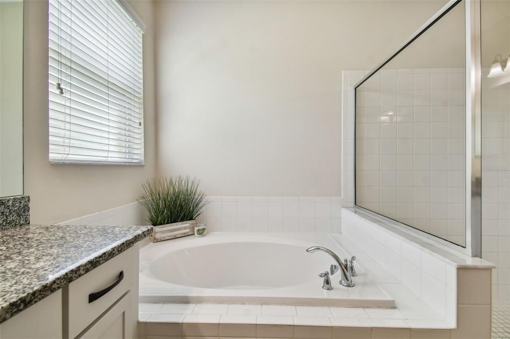 Garden Tub with separate Shower